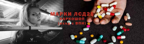 ПСИЛОЦИБИНОВЫЕ ГРИБЫ Алексин