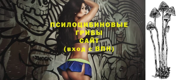 ПСИЛОЦИБИНОВЫЕ ГРИБЫ Алексин